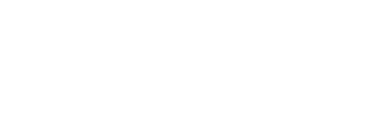 eCommerce Consulting